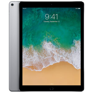 Apple iPad Pro 1st Gen 11" 256GB - WiFi + Cellular We Buy Any Electronics